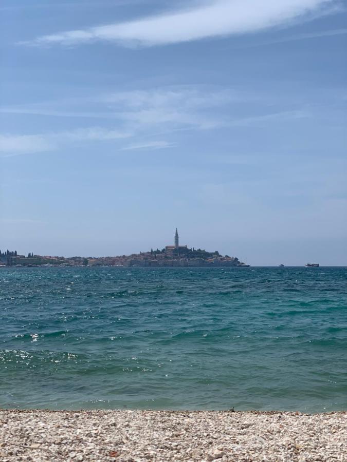 Vila Albatros Bed & Breakfast Rovinj Eksteriør bilde